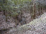 Ruth Bennett McDougal Dorrough; Hiking Day Trips FL Land Trust Preserves Wesley Hill